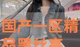 黑丝国产在线,探寻国产影视的时尚魅力