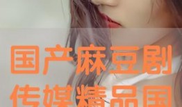 国产极品在线播放,揭秘热门影视佳作背后的精彩故事