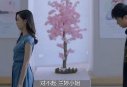 国产情侣真实,见证爱情的力量