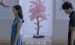 国产情侣真实,见证爱情的力量