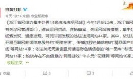 在线国产成人精品