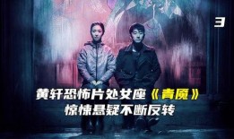 国产黄毛片,揭秘我国影视产业的独特魅力与挑战