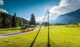 青青草国产线观,青青草的青春旋律与时代印记