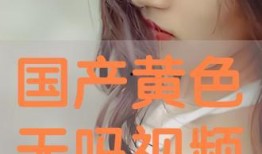 国产成人在线视频观看